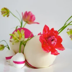 Fritillaria Acmopetala -UK Garden Plants Sales 2024 241863 682a3