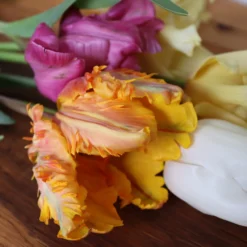 Tulip 'Princess Irene Parrot' -UK Garden Plants Sales 2024 IMG 1525 scaled