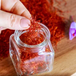 Crocus Sativus -UK Garden Plants Sales 2024 crocus sativus saffron