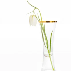 Fritillaria Meleagris 'Alba' -UK Garden Plants Sales 2024 fritillaria meleagris alba 7 scaled