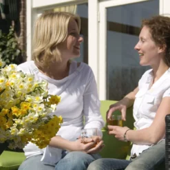 Narcissus 'Avalanche' -UK Garden Plants Sales 2024 narcissus avalanche 7