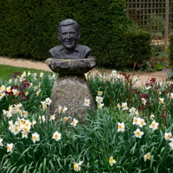 Narcissus 'Barrett Browning' 26 Narcissus 'Barrett Browning' -UK Garden Plants Sales 2024 narcissus barrett browning 10 scaled