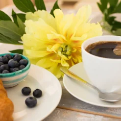 Paeonia 'Bartzella' 11 Paeonia 'Bartzella' -UK Garden Plants Sales 2024 peony bartzella 2 scaled