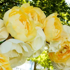 Paeonia 'Yellow Crown XXL' -UK Garden Plants Sales 2024 peony yellow crown 4 b26ba1ed 21c4 426a a4e2 21d37a2975e8 scaled